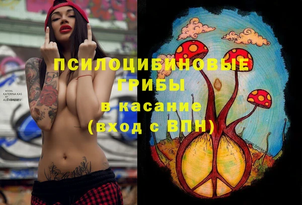 2c-b Алексин