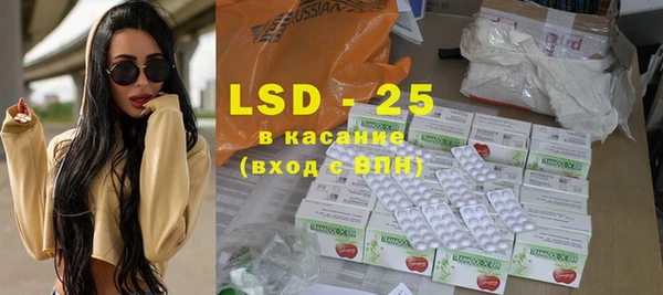 PSILOCYBIN Алзамай