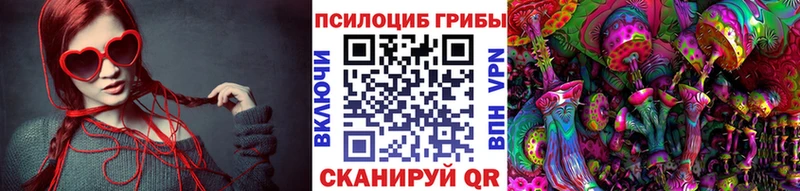купить наркотик  это какой сайт  Галлюциногенные грибы Psilocybine cubensis  Иркутск 