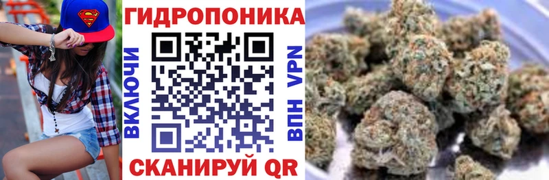 где купить наркоту  Иркутск  Шишки марихуана семена 
